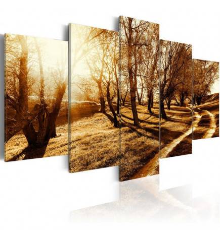 Canvas Print - Amber orchard