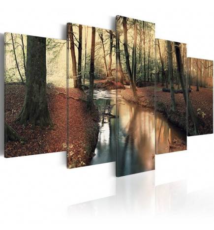 Canvas Print - Brown autumn: forest