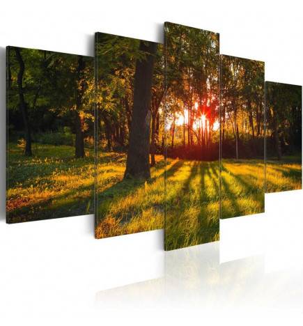 Canvas Print - In the shade of forest