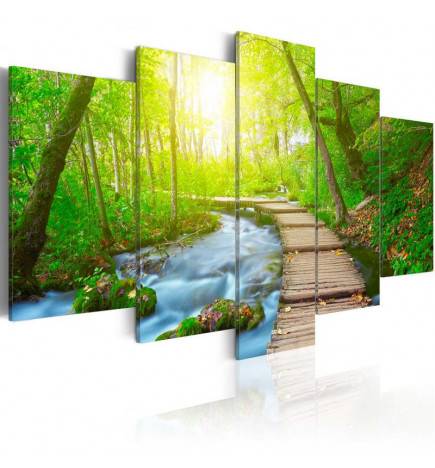 Canvas Print - Sunny Forest