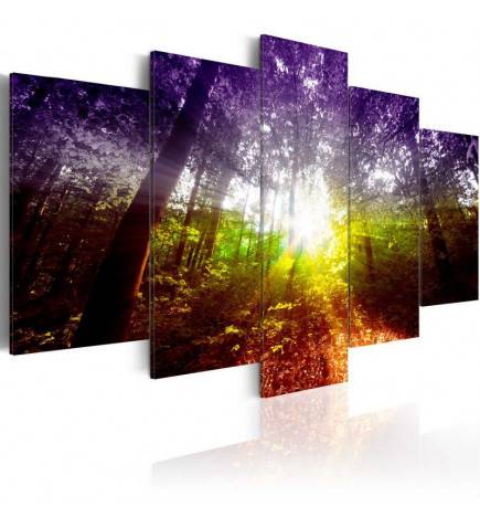 Canvas Print - Rainbow Forest