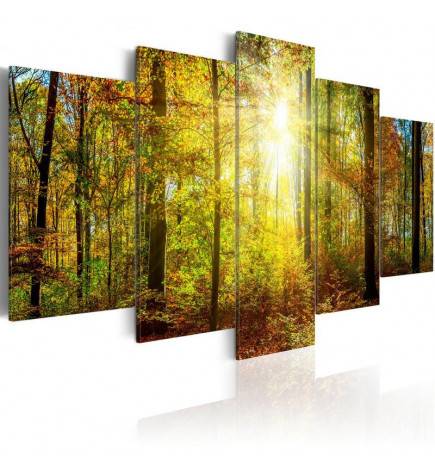 Canvas Print - Mystical Forest