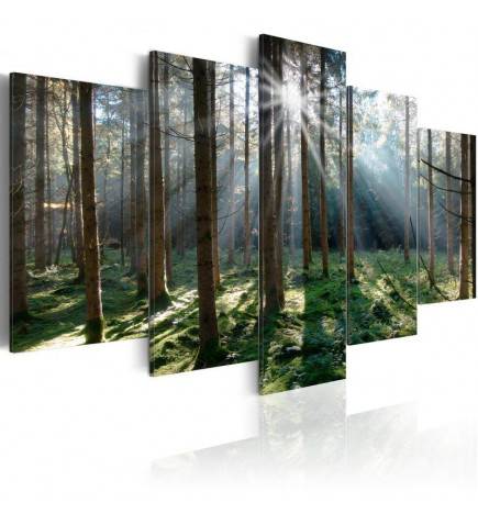 70,90 € Canvas Print - Fairytale Forest