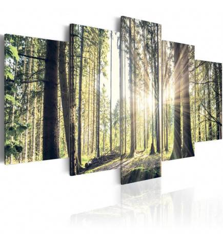 Canvas Print - Forest Temple