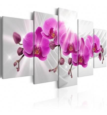 70,90 €Quadro con 5 orchidee viola cm. 100x50 e cm. 200x100