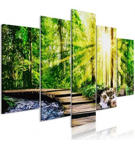 Canvas Print - Forest Footbridge (5 Parts) Wide