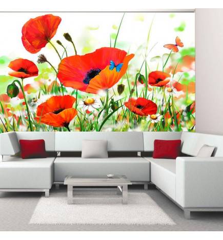 Wallpaper - Country poppies
