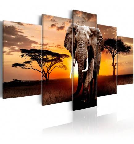 70,90 €Quadro elefante grigio cm. 100x50 e 200x100 ARREDALACASA