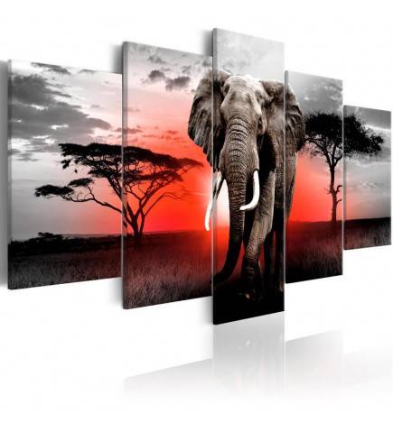 Canvas Print - Lonely Elephant