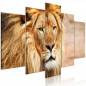 Canvas Print - The King of Beasts (5 Parts) Wide Orange
