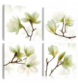 Canvas Print - Admiration of Magnolia