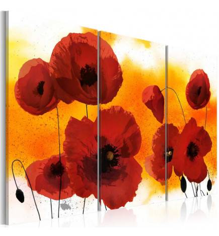 Quadro - Sunny afternoon and poppies