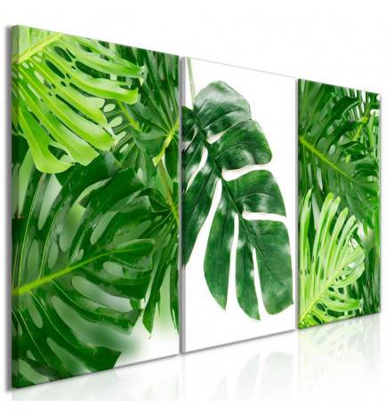 88,90 €Quadro collage di foglie verdi cm. 120x60 - ARREDALACASA