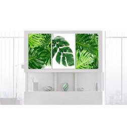 Quadro collage di foglie verdi cm. 120x60 - ARREDALACASA