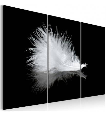 61,90 € Canvas Print - A small feather