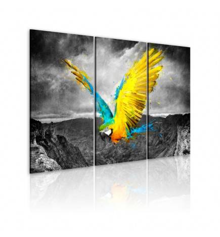 Canvas Print - Bird-of-paradise