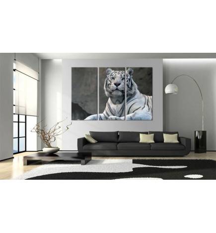 Tableau - Tigre blanc