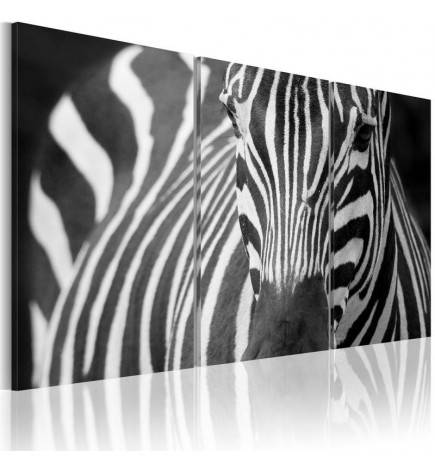61,90 €Quadro con una zebra in bianco e nero - ARREDALACASA