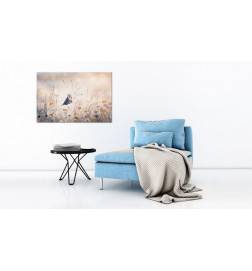 Canvas Print -  August Melody