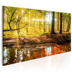 61,90 € Canvas Print - Autumnal Reverie