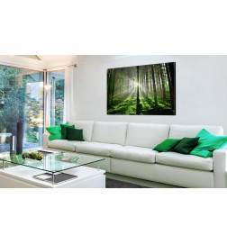 Canvas Print - Emerald Forest II