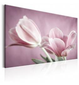 Quadro con i tulipani rosa cm. 60x40 cm. - 90x60 - cm. 120x80