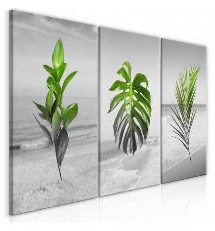 61,90 €Quadro collage con foglie e piante cm.60x30 e 120x60 ARREDALACASA