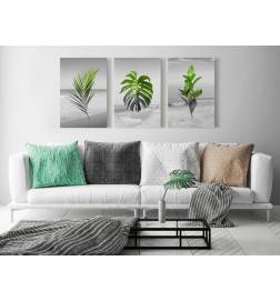 Quadro collage con foglie e piante cm.60x30 e 120x60 ARREDALACASA