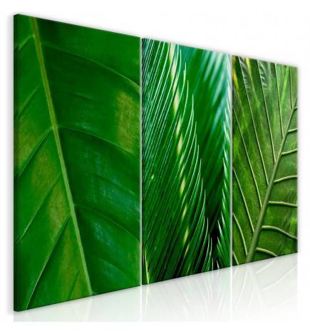 61,90 €Quadro con le foglie verdi cm. 60x30 e 120x60 - ARREDALACASA