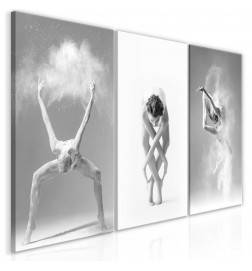 61,90 € Canvas Print - Ballet (Collection)