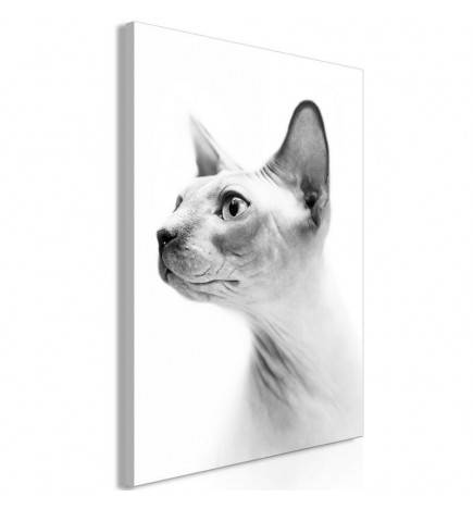 61,90 € Canvas Print - Hairless Cat (1 Part) Vertical