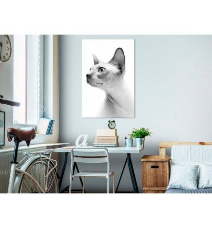 Canvas Print - Hairless Cat (1 Part) Vertical