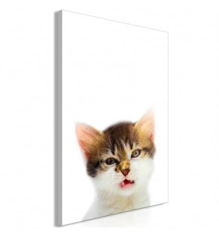61,90 € Canvas Print - Vexed Cat (1 Part) Vertical