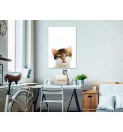 Canvas Print - Vexed Cat (1 Part) Vertical
