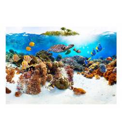 Fotomural - Arrecife de coral