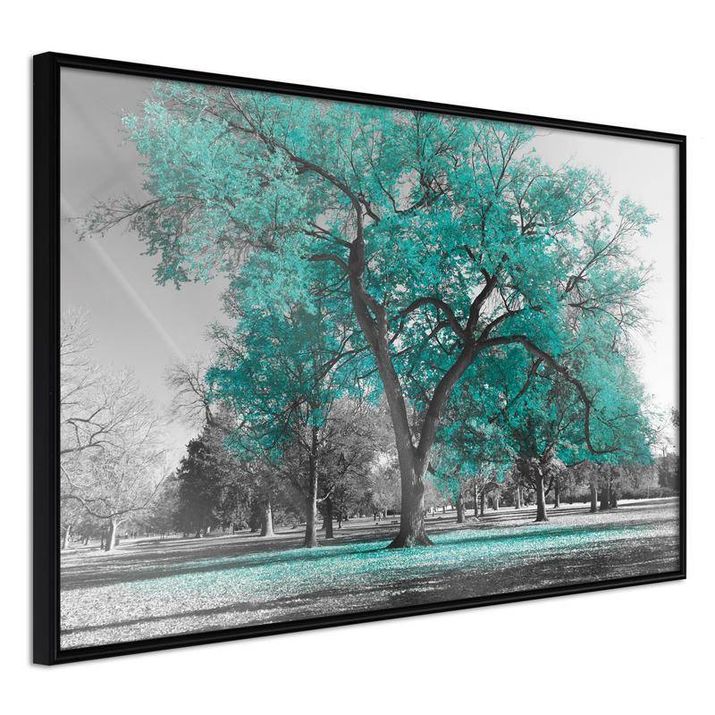 71,00 € Poster - Teal Tree