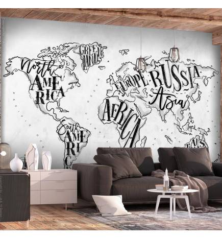 34,00 € Wallpaper - Retro Continents (Grey)