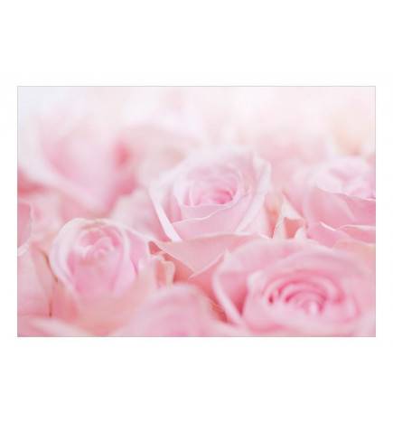 Fotomurale adesivo con delle grandi rose ARREDALACASA