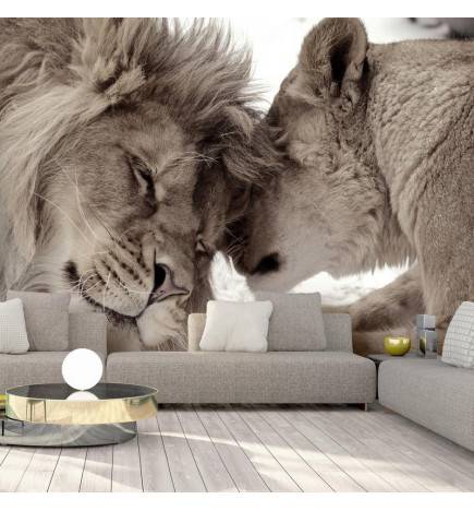 34,00 € Wallpaper - Lion Tenderness (Sepia)