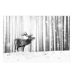 Papel de parede autocolante - Deer in the Snow (Black and White)