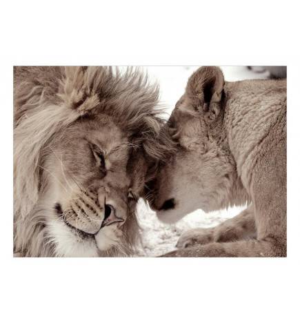 Wallpaper - Lion Tenderness (Sepia)