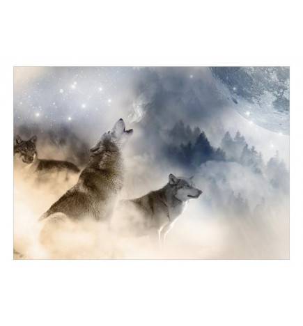 Fotomurale adesivo con i lupi Arredalacasa