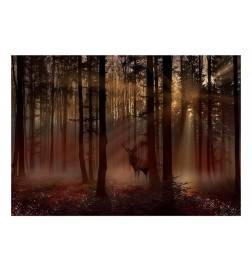 Fotomural - Mystical Forest - First Variant