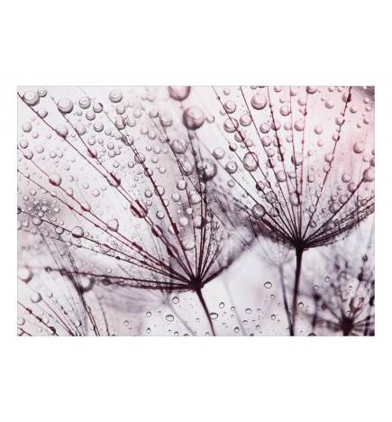 Fototapete - Rainy Time
