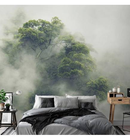 Fotomural - Foggy Amazon