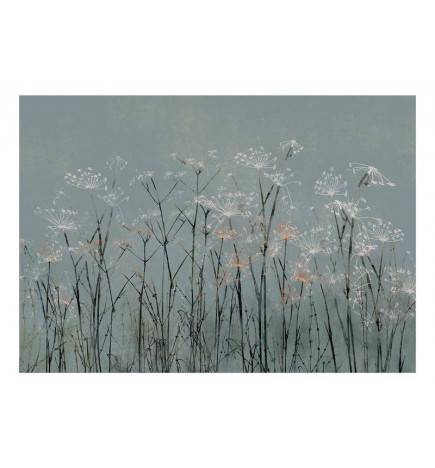 Wallpaper - Garlic Flowers