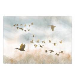 Wallpaper - Golden Geese