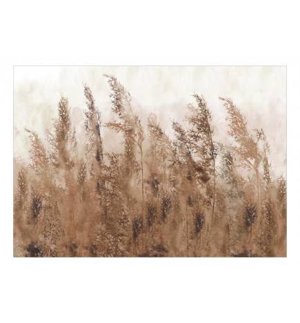 Self-adhesive Wallpaper - Tall Grasses - Brown