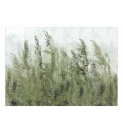 Self-adhesive Wallpaper - Tall Grasses - Green