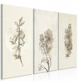 Quadro - Herbarium (3 Parts)
